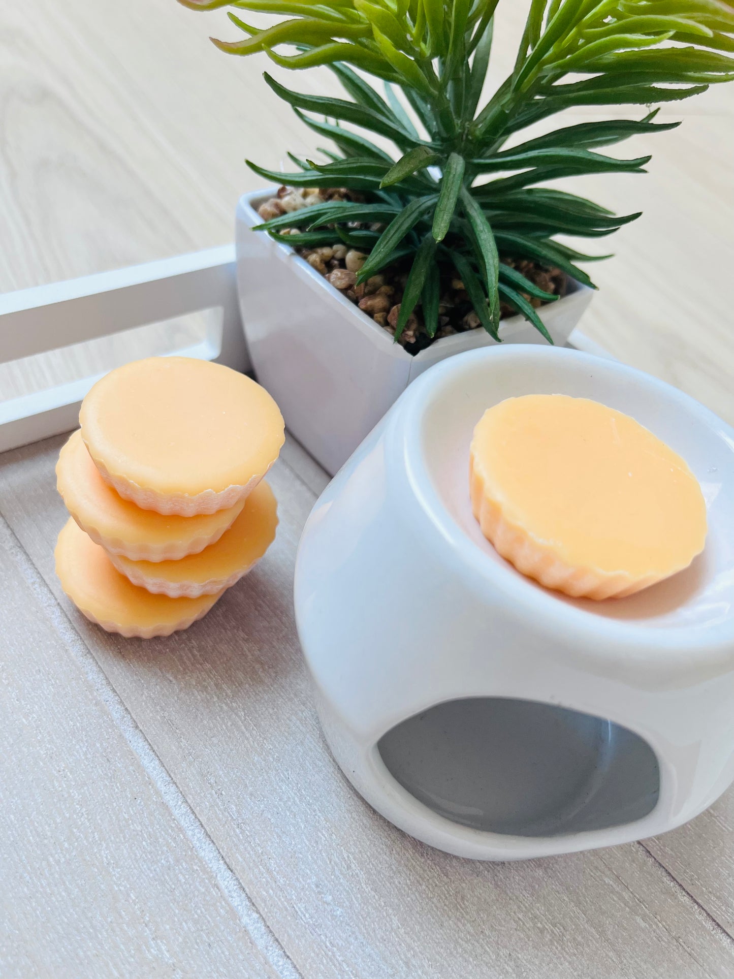 Tartelette fondante ORANGE CONFITE