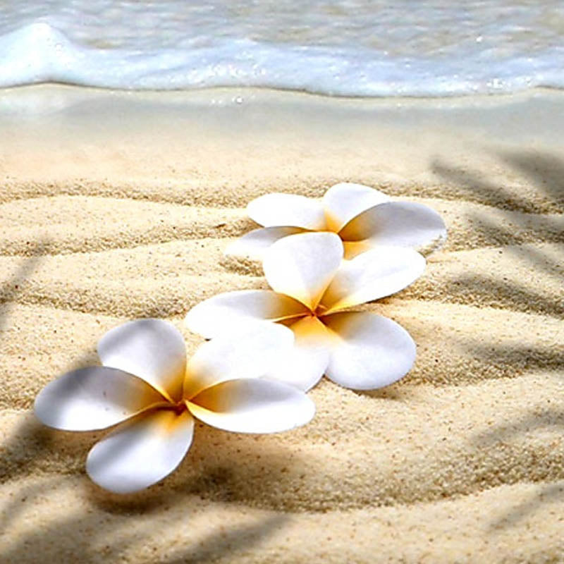 Tablette fondante MONOÏ DE TAHITI