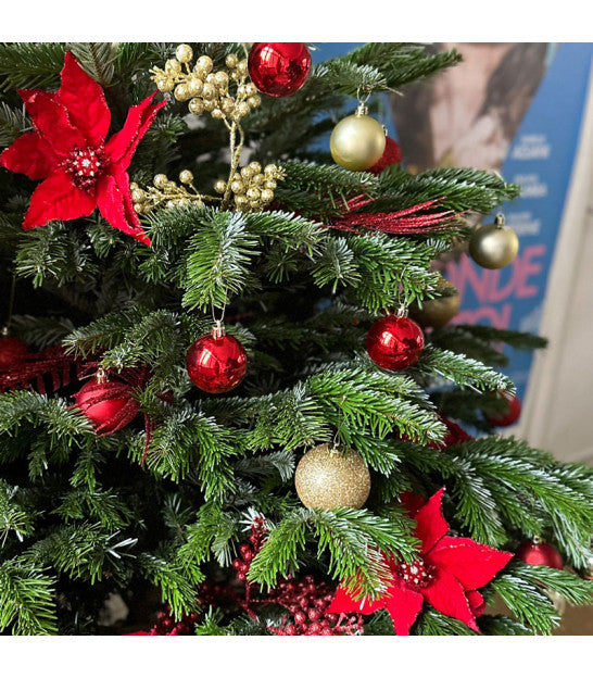 Fondants de Noël SAPIN DE NOËL
