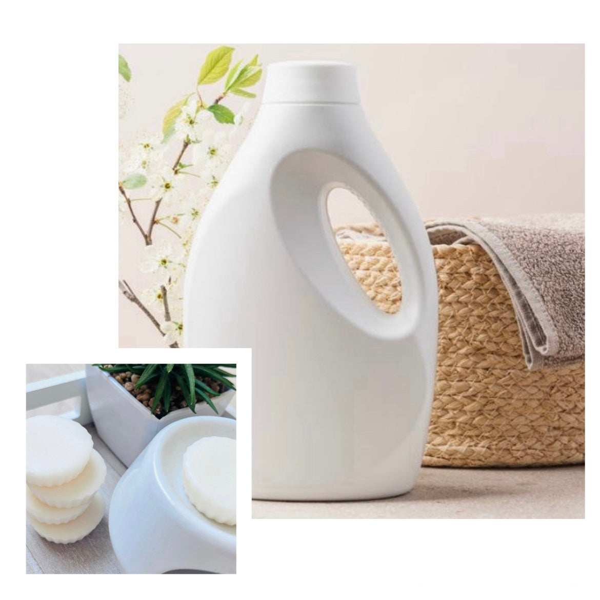 Tartelette fondante LESSIVE