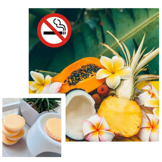 Tartelette fondante ANTI-TABAC (tropical)