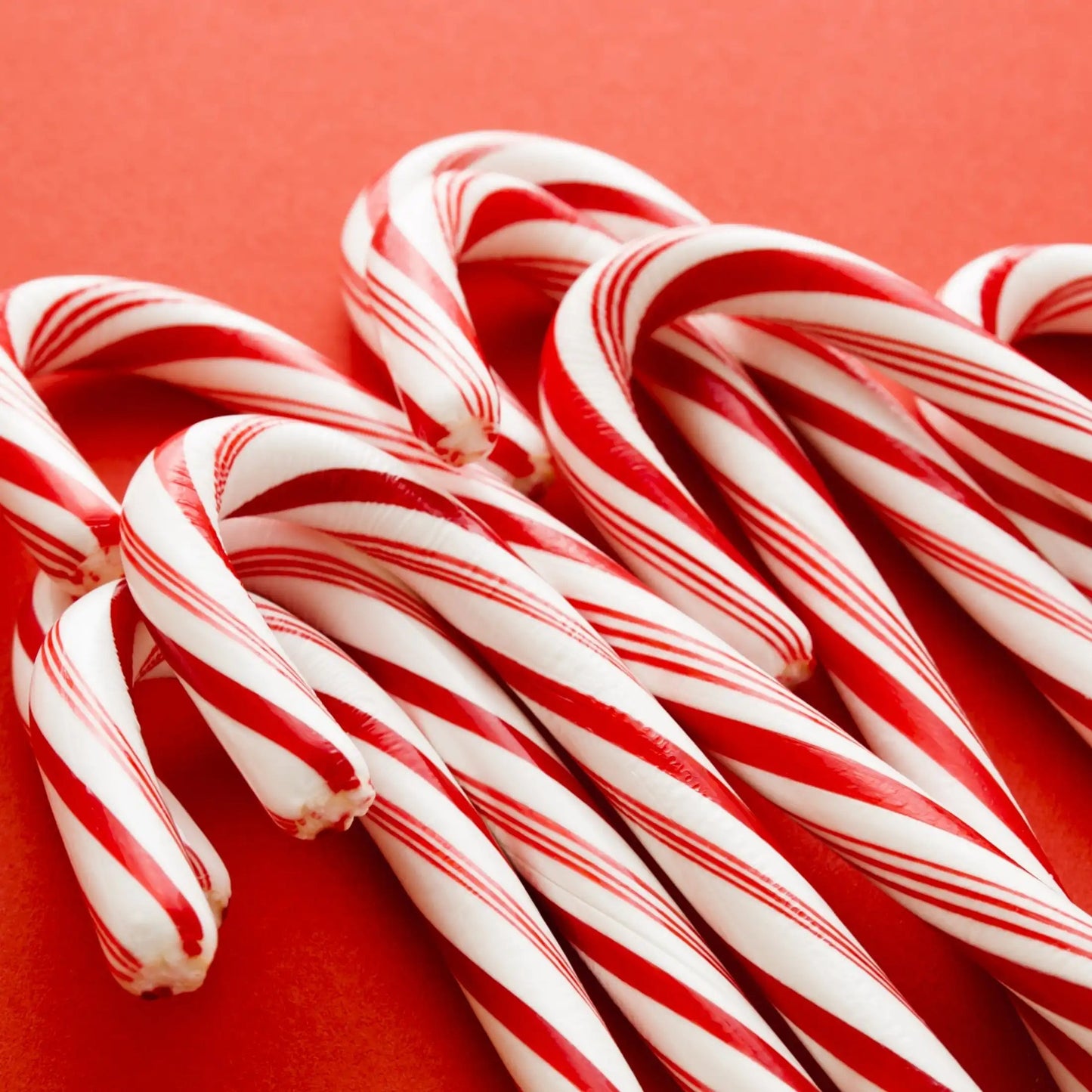 Fondants de noël SUCRE D’ORGE