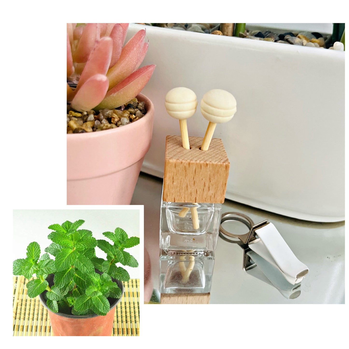 Diffuseur de parfum à tiges MENTHE CHLOROPHYLE