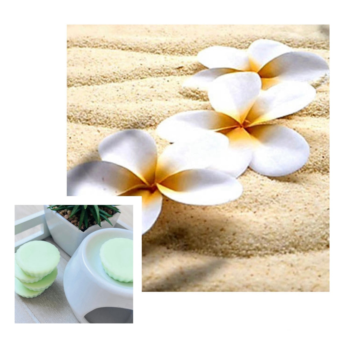 Tartelette fondante MONOÏ DE TAHITI