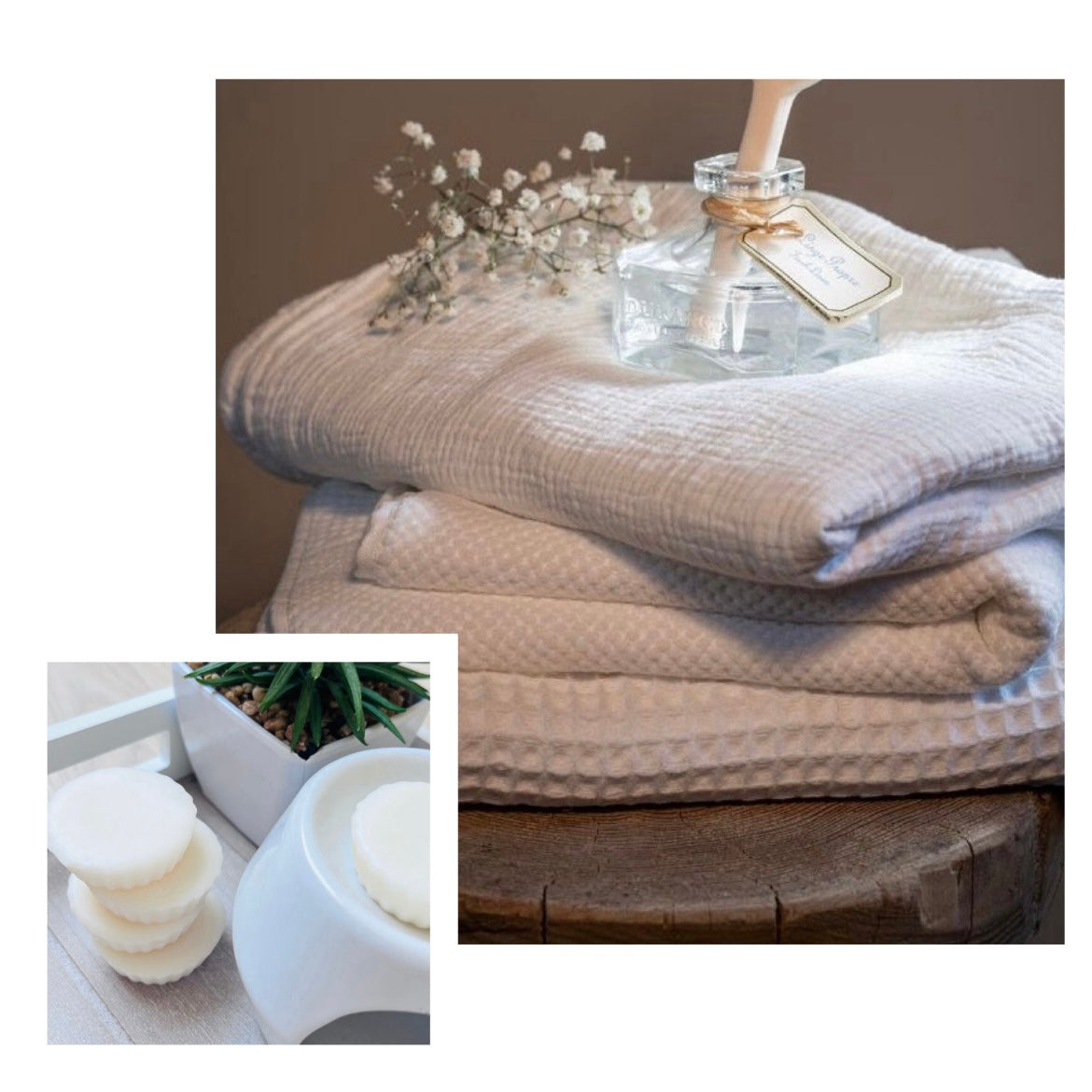 Tartelette fondante LINGE PROPRE