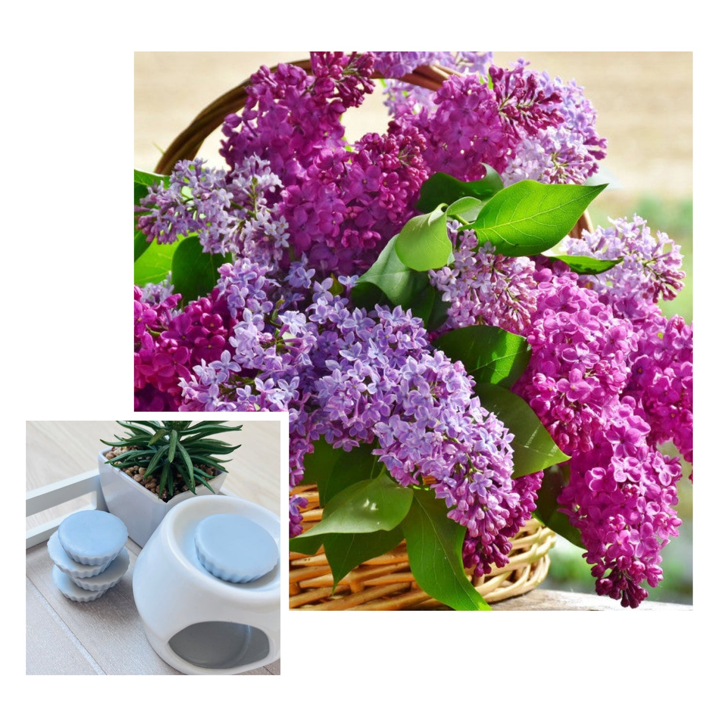 Senteur LILAS