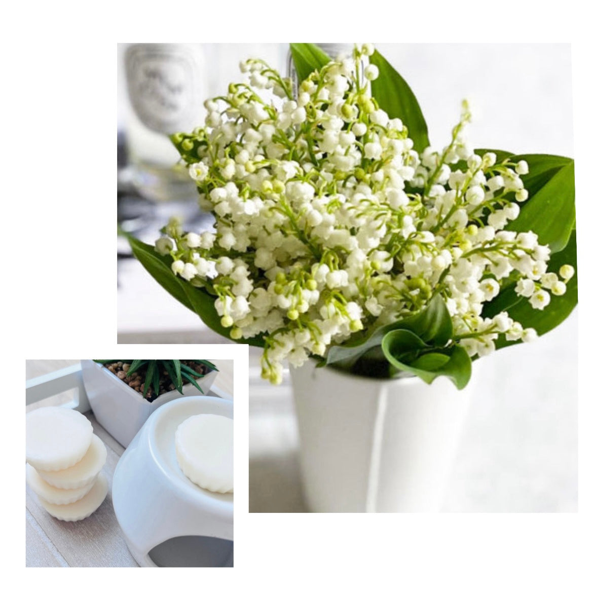 Tartelette fondante MUGUET