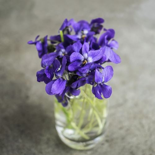 Tartelette fondante VIOLETTE DES BOIS